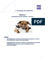 Modulo 5. Enfermedades .-1