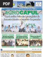 Informativo Jornal Capul - Edição 124 - Junho de 2011 - Unaí-Mg