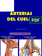 Arterias Del Cuello