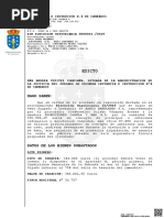 PDF Documento