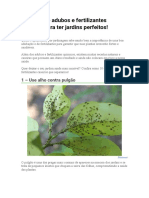 10 Dicas de Adubos e Fertilizantes Caseiros para Ter Jardins Perfeitos