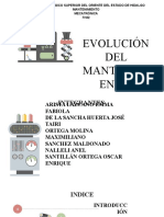 Evolucion Del Mantenimiento