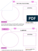 Tarea Histologia