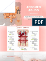 Abdomen Agudo Expo