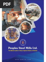 Brochure PSM