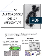 2014 Bases Materiales, Genética