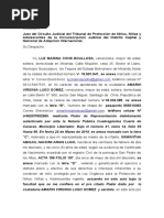 Documento Solicitud de Patria Potesta