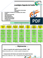 Diagrama de Flujo-Los Componentes Del Sistema de Gestión Del Capital Humano. - MEDS