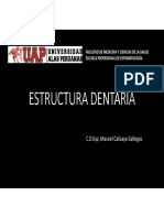 Estructura Dentaria y Caries Dental