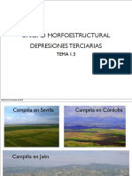 Unidad Morfoestructural Depresiones Terciarias PDF