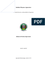 Informe Practica Supervisada 2