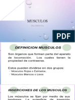 Musculos Faciales