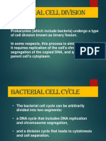 Bacterial Cell Division