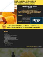 Seminario de Tesis II - Grupo 5