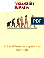 Atapuerca y La Evolucion Humana