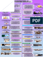 Infografia Derecho