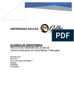 Glandulas Endocrinas PROYECTO INVESTIGACION, - Eduardo Cruz.