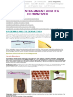 The Integument and Its Derivatives