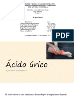 Presentacion Ácido Úrico