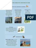 Infografia Metodos de Muestreo de Mamiferos