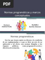 Normas Programaticas