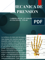 Biomecanica de La Prension