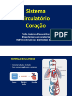 Aula Coração + Roteiro PDF