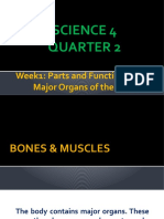 Q2 SCI - W1 Main Function of The Major Organs