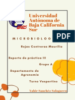 Universidad Autónoma de Baja California Sur, Sologuren Sánchez Yahir-1