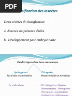 Classification Des Insectes