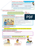 D3 A2 FICHA ¿Cómo Es El Suelo