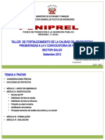 Taller Fortalecimiento Foniprel 2012 Salud