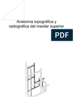 Anatomia Topografica y Radiografica Del Maxilar Superior