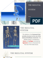 7.0 Skeletal System