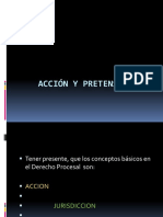 Acción y Pretensión