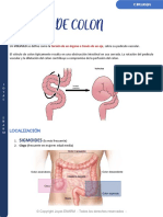 Vólvulo de Colon