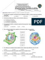 Omar Examen - Biologia - Primer Triimestre