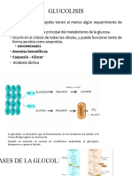 GLUCOLISIS