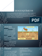 Ciclos Biogeoquímicos