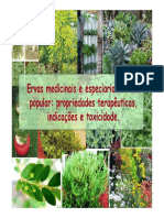 Especiarias e Plantas Medicinais