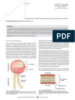 Robyn, Journal Editor, SAJAA (V26N6) p1-7 01 2527 The Cell Membrane