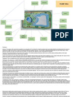 Plant Cell and Animal Cell