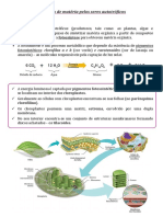 Obtenção de Matéria Pelos Seres Autotróficos