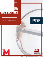 A Corrida Dos Ratos