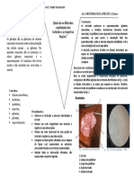 V de Gowin - Test. Porco