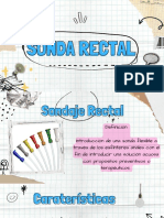 Sonda Rectal