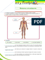 18-Sistema Circulatorio