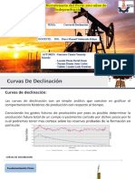 Curvas de Declinacion Expo