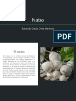 Nabo