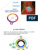 Cycle Cellulaire Noyau Interphasique FMT 2022